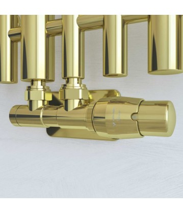 All In One "Twins" wersja Złoty Galwaniczny